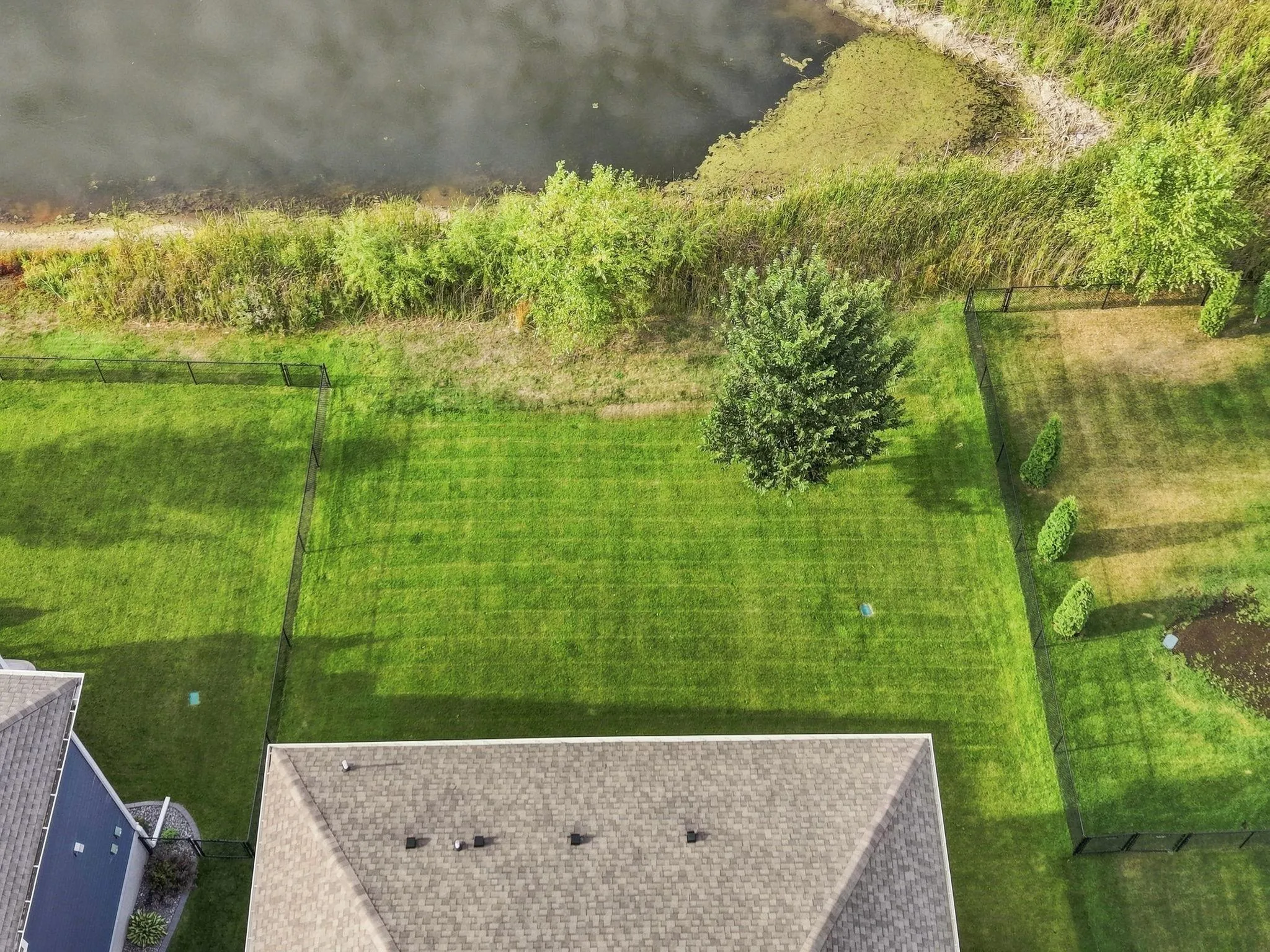 Photo 6 of 11572 Pineridge N Way