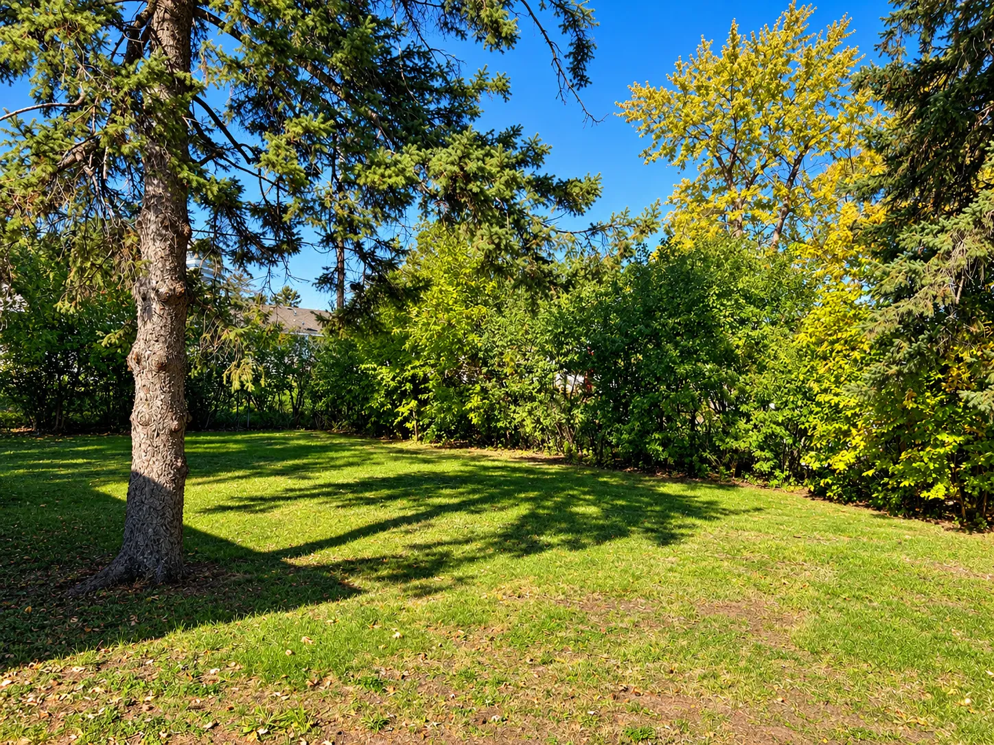 Photo 13 of 8212 Emerson S Avenue