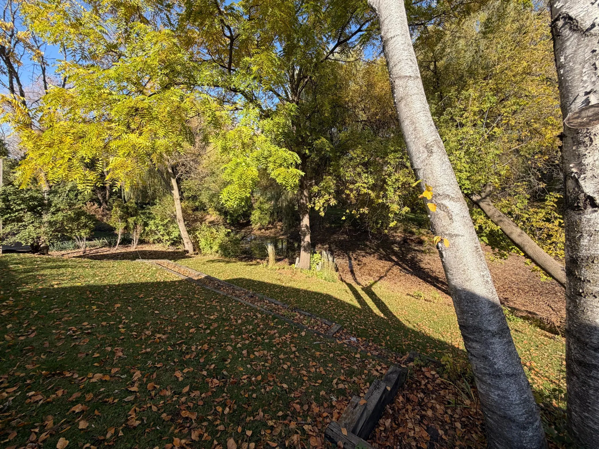Photo 5 of 5832 Olinger Boulevard