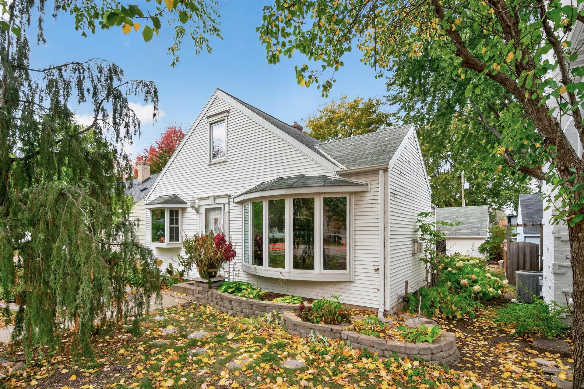 Photo 78 of 242 5th N Avenue