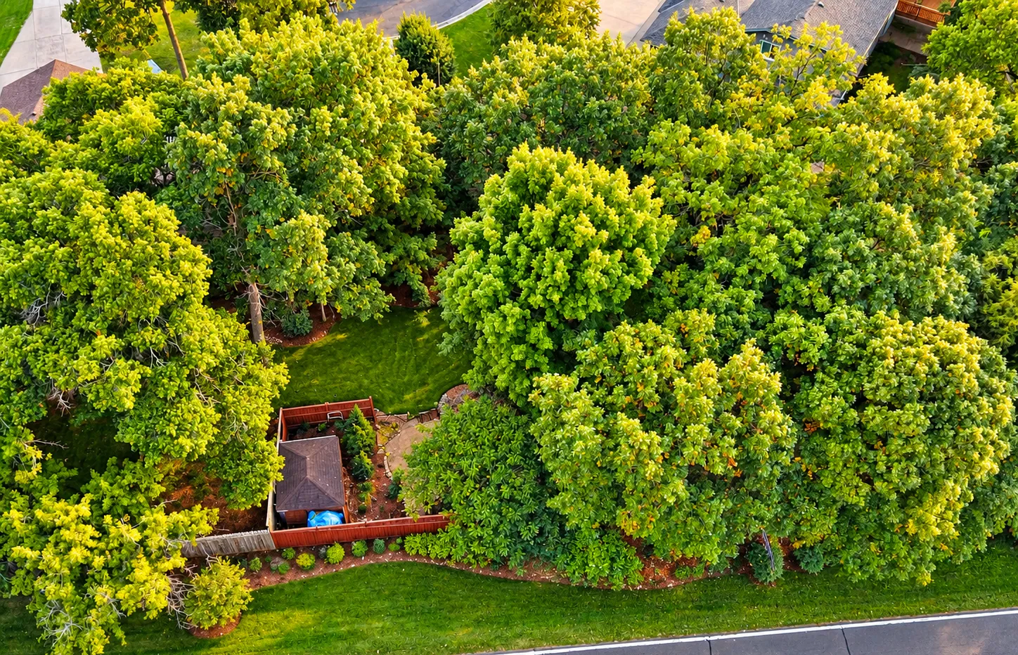Photo 54 of 5262 Oxbow Court