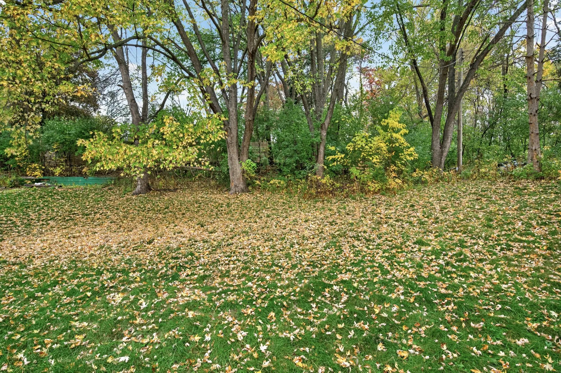 Photo 13 of 2187 Springside E Drive