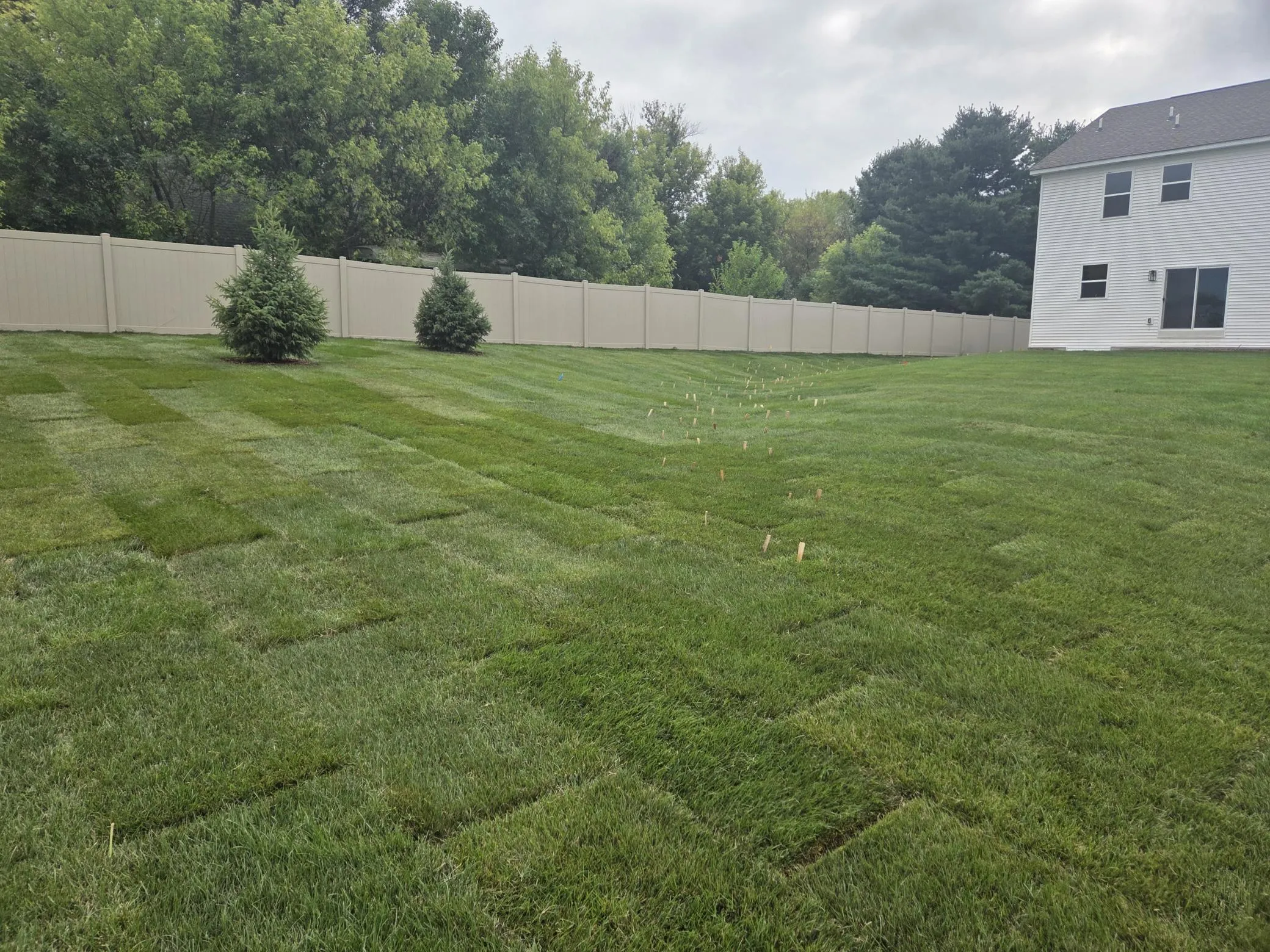 Photo 4 of 4978 Blake Way