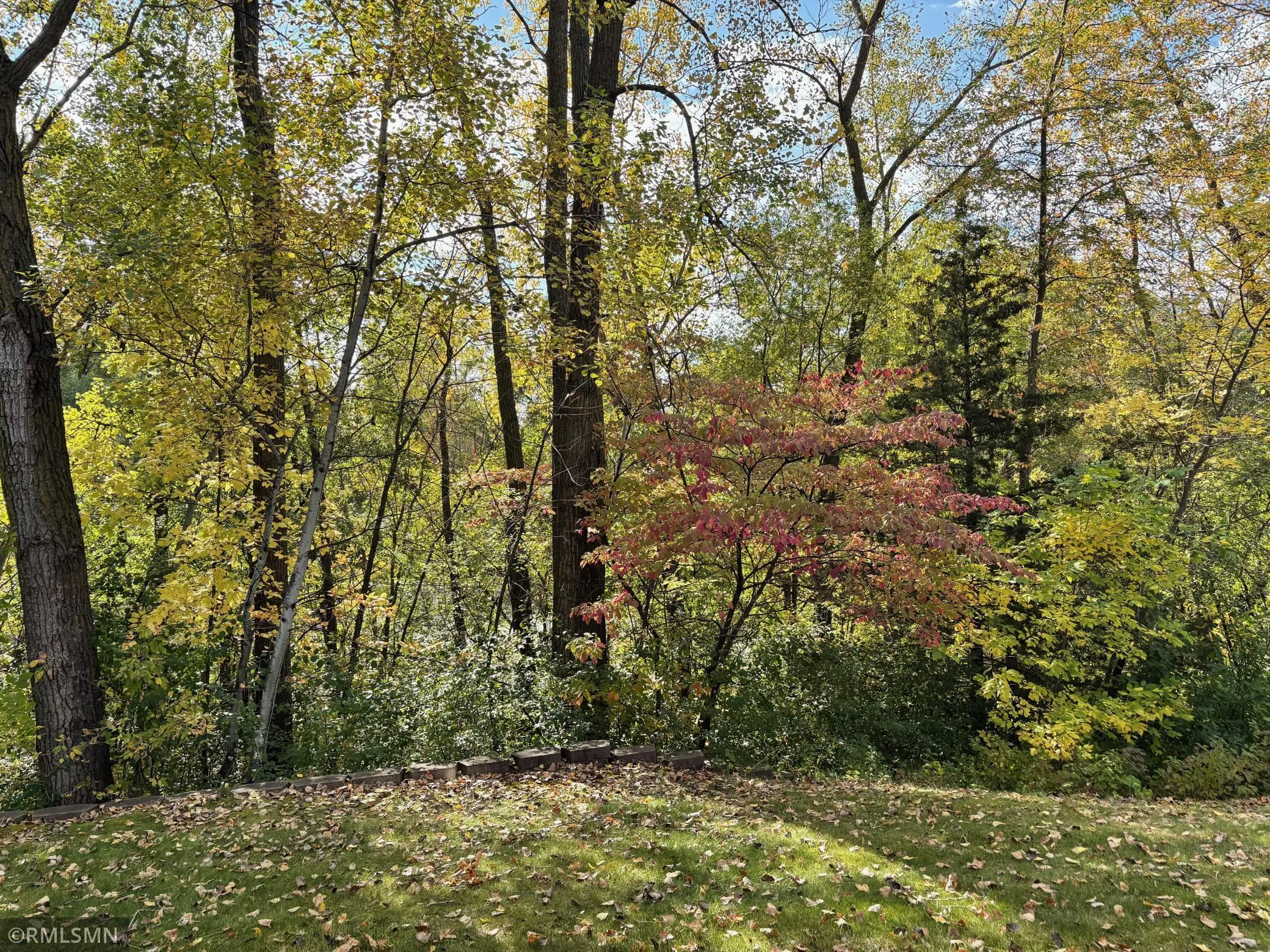 Photo 11 of 4221 Bristol Run