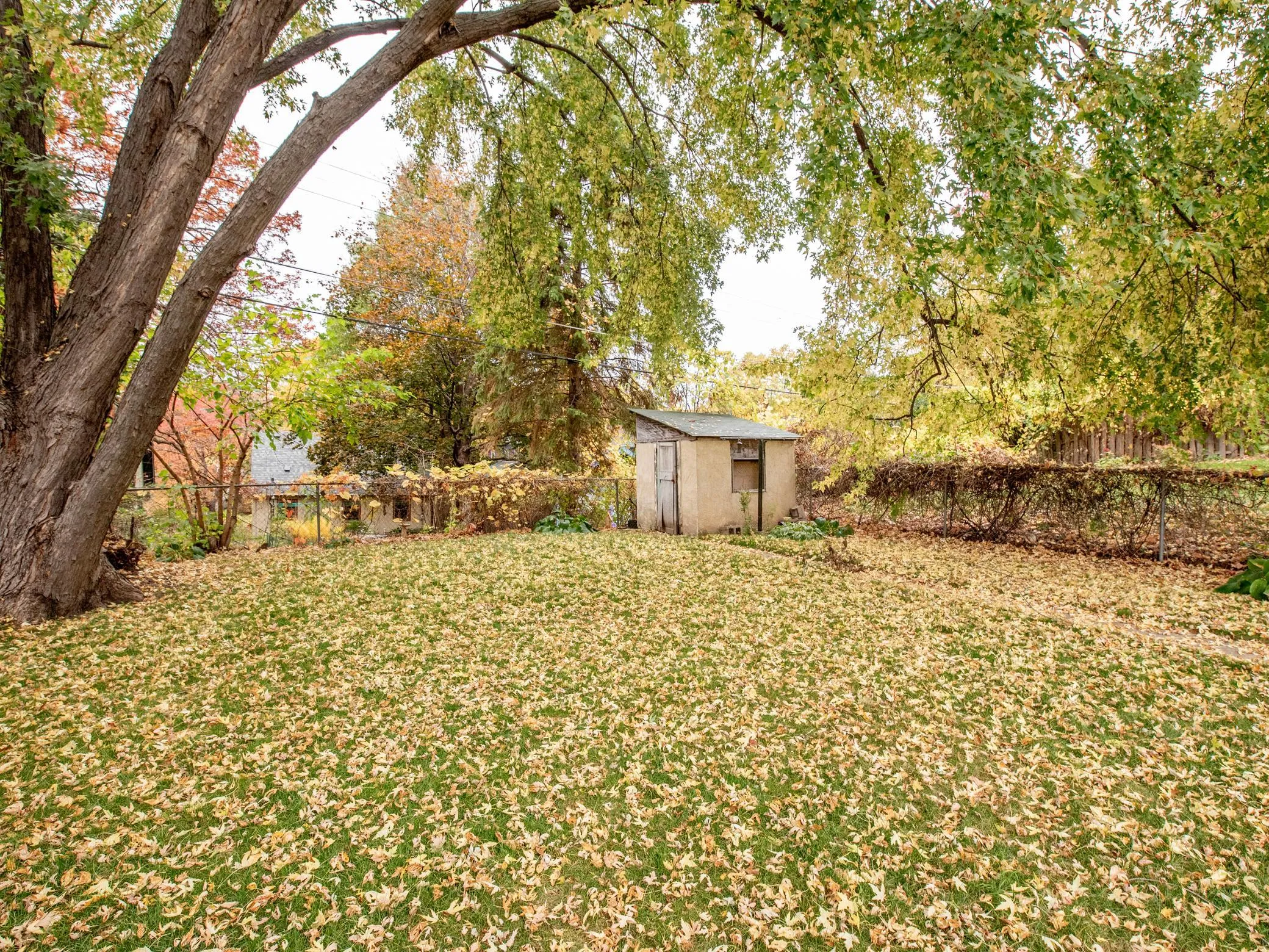 Photo 35 of 2387 Bourne Avenue