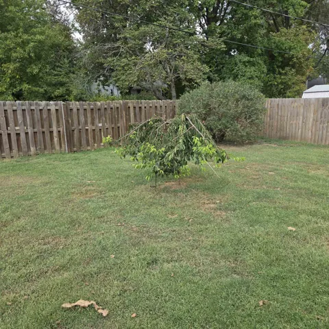 780