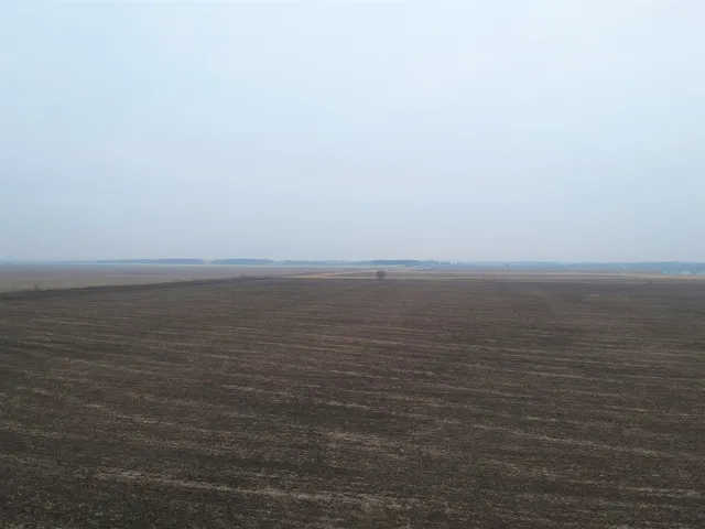 780
