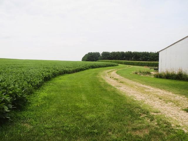 780