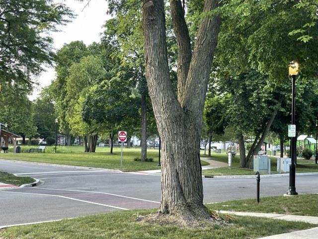 780