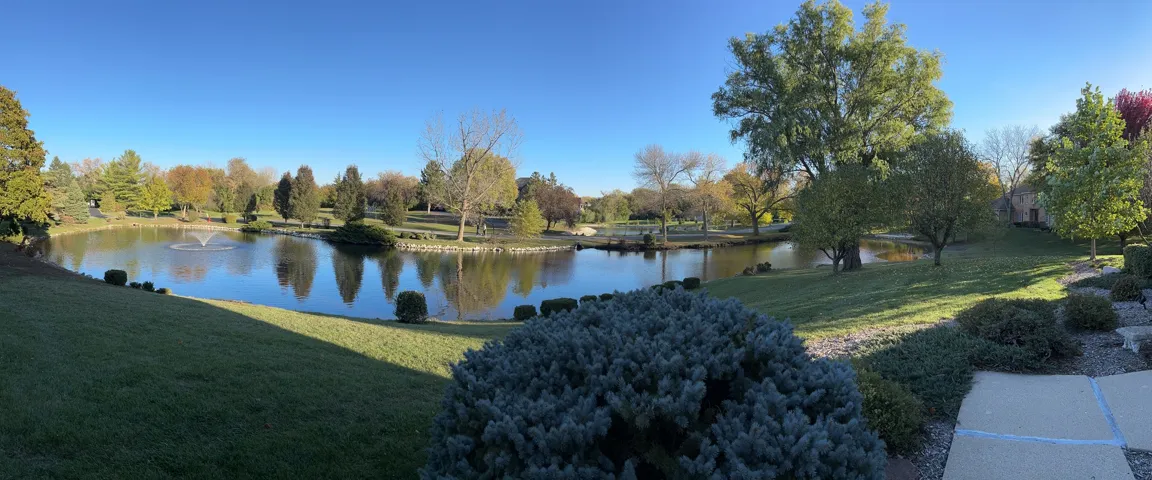 780