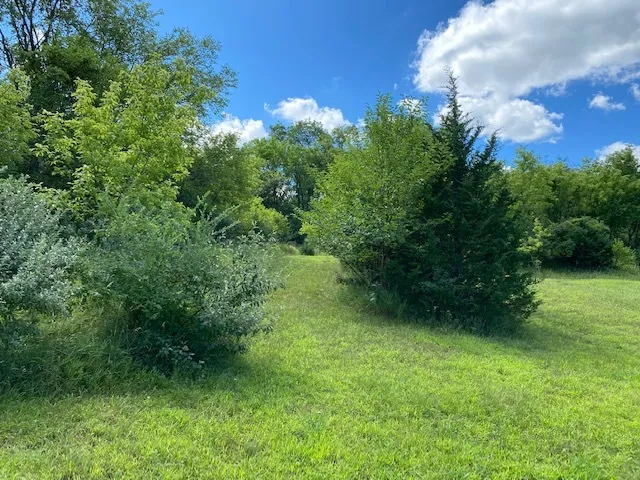 780