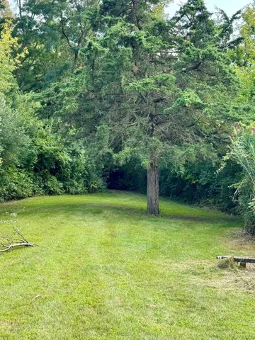 780