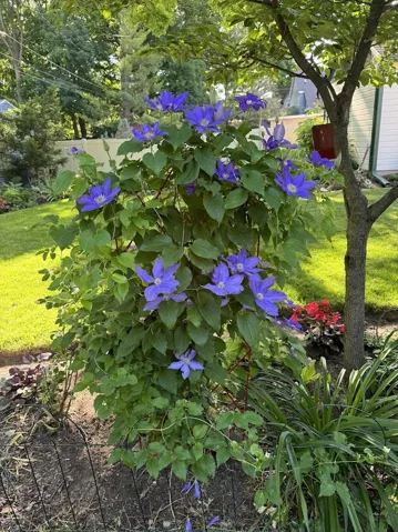 780