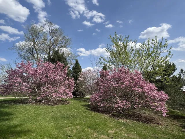 780