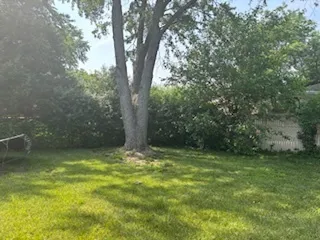 780