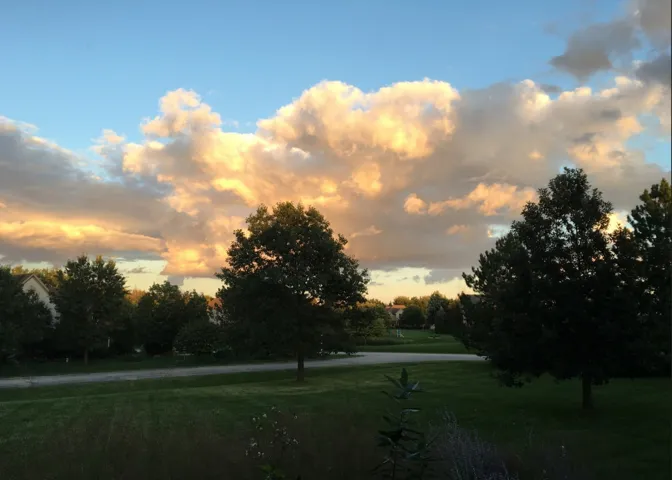 780