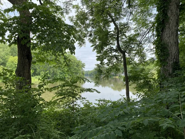 780
