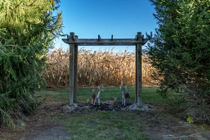 780