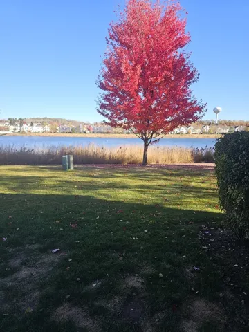 780