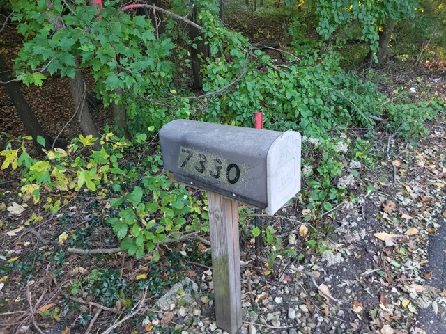 780