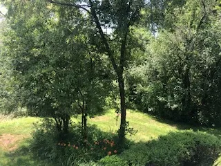 780