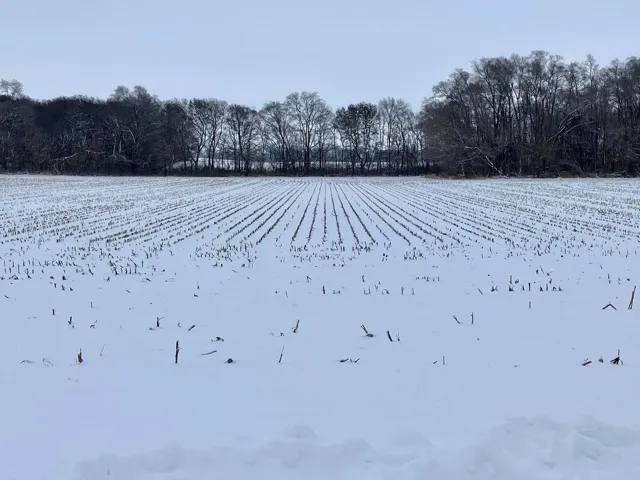 780