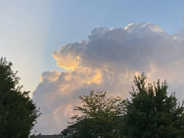 780