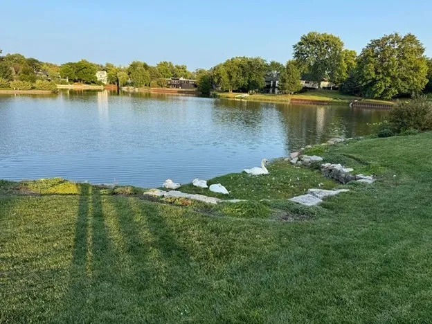 780