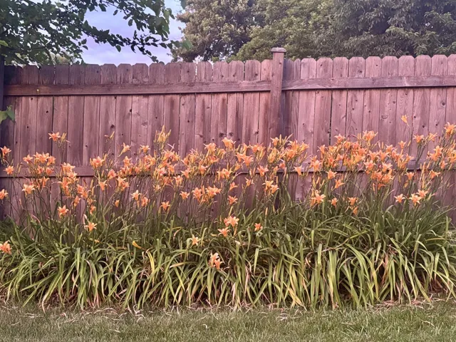 780