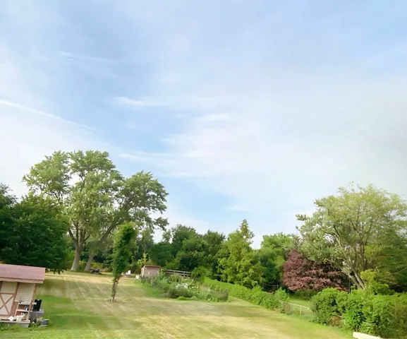 780