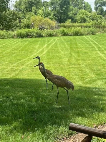 780