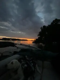 780