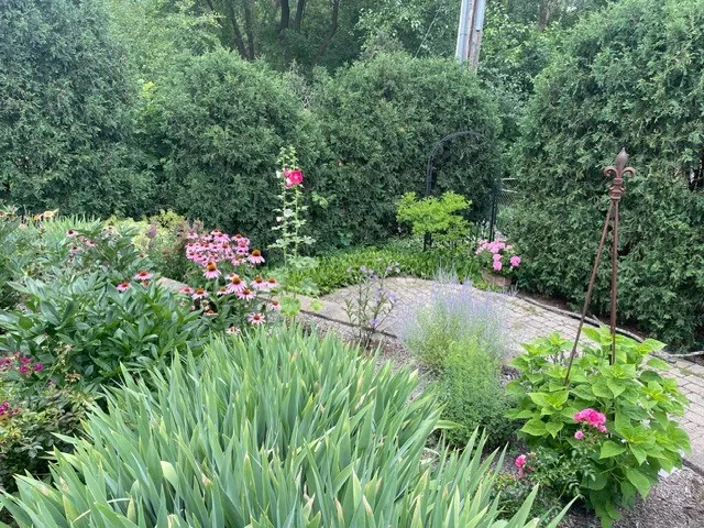 780