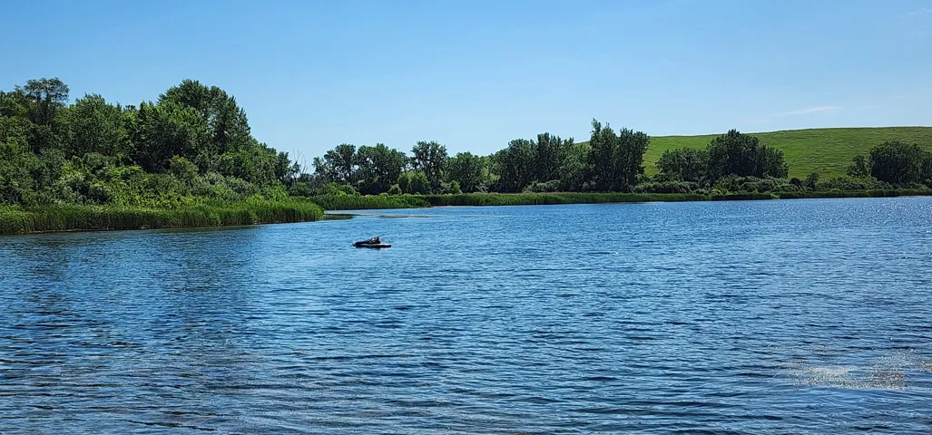 780
