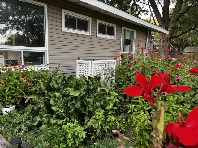 780