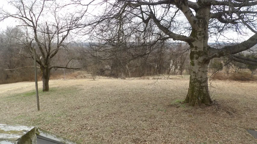 780