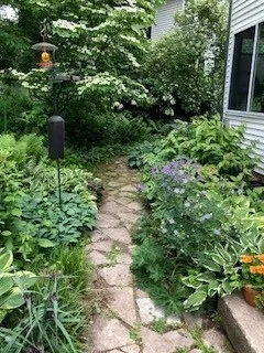 780