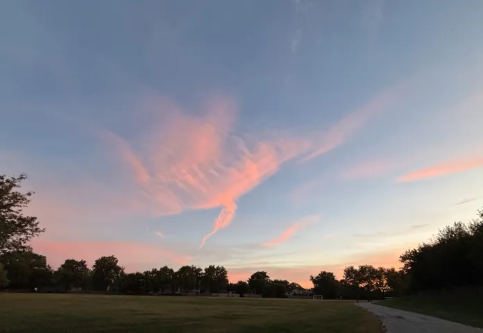 780
