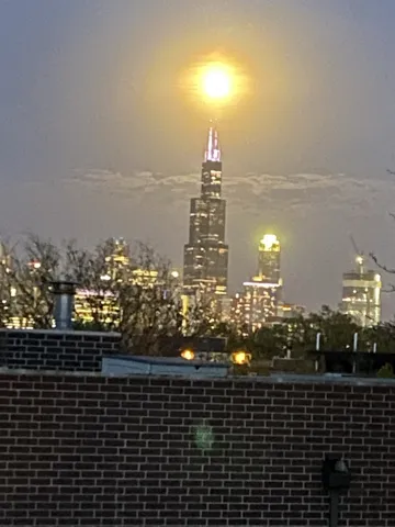780