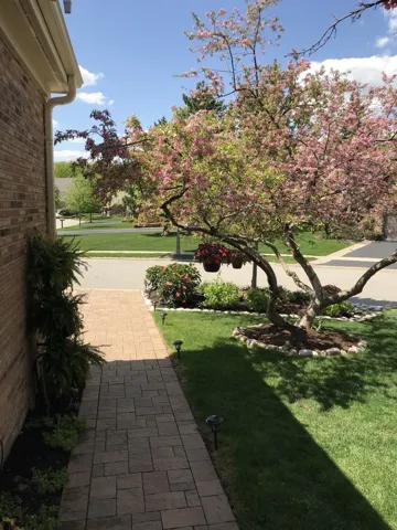 780