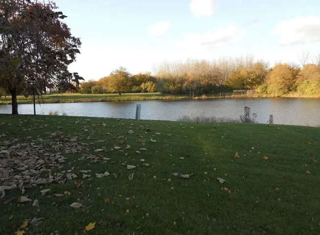 780