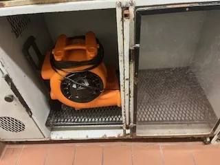 780