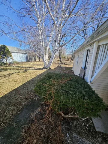 780