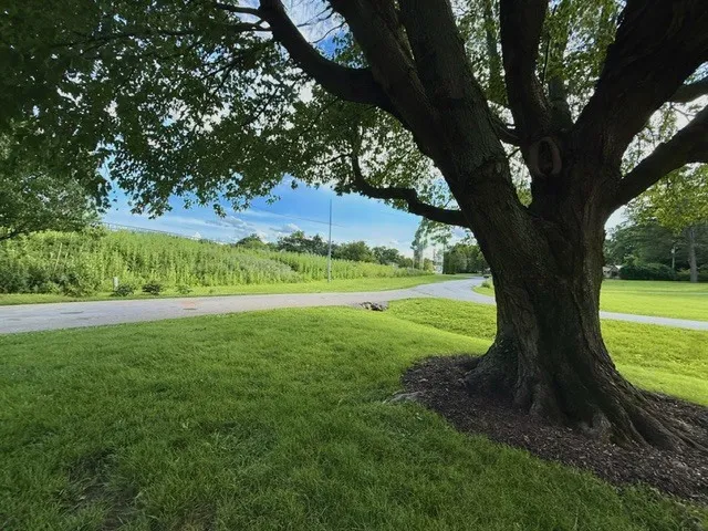 780