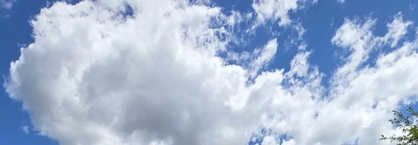 780