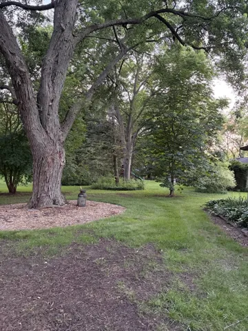 780