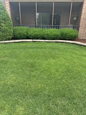 780