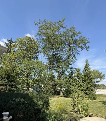780