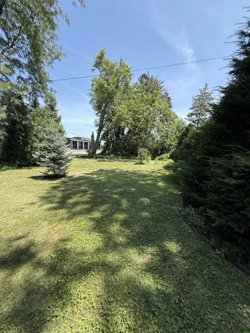780
