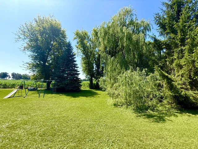780